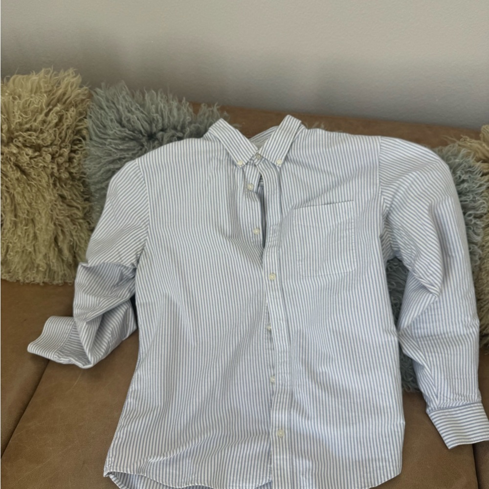 Everlane Men's Blue and White Striped Shirt